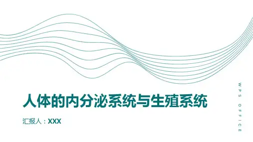 人体的内分泌系统与生殖系统
