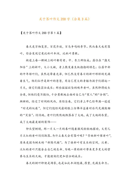关于落叶作文200字(合集3篇)