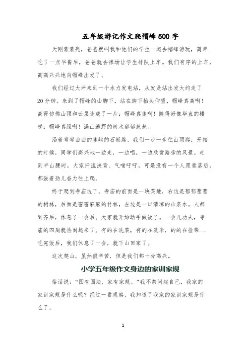 五年级游记作文爬帽峰500字
