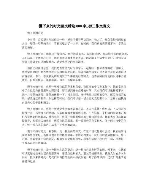 慢下来的时光范文精选800字_初三作文范文