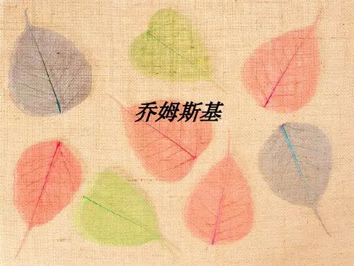 乔姆斯基