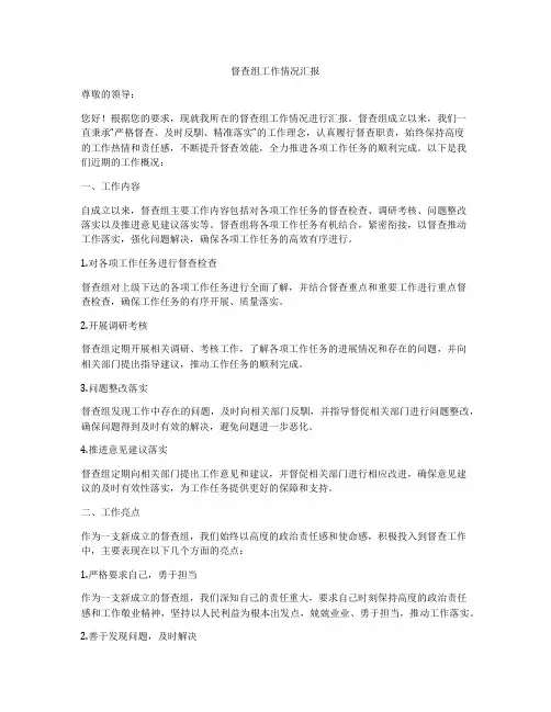 督查组工作情况汇报
