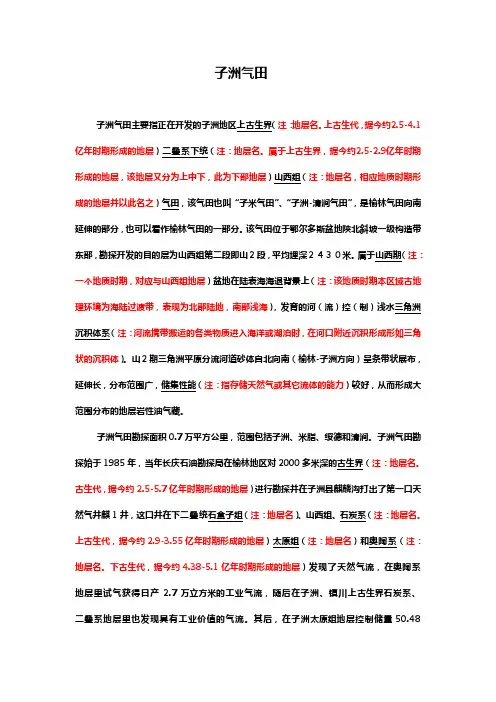 子洲气田