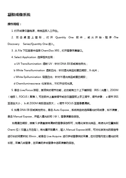 凝胶成像仪(使用方法)