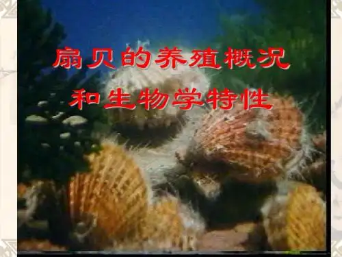 扇贝的养殖概况和生物学特性