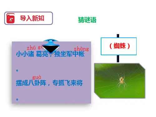 二年级语文下册《蜘蛛开店》课件人教部编版(共22张PPT)