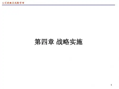 公司战略与风险管理(第4章)