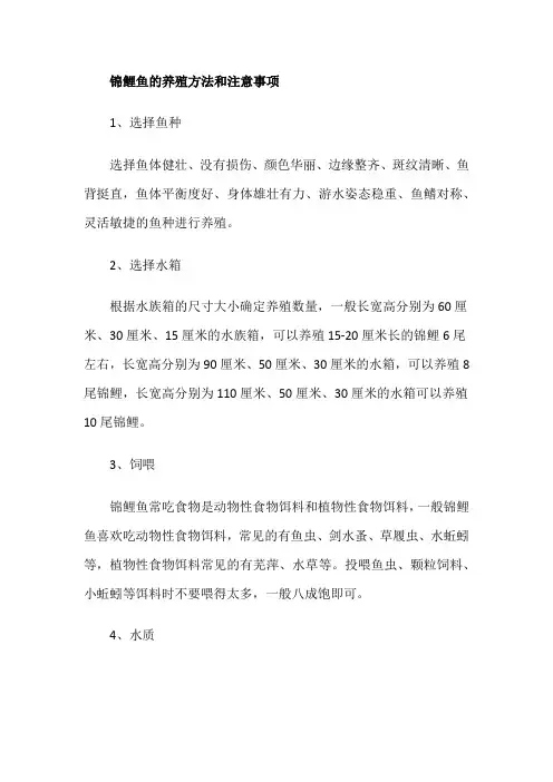 锦鲤鱼的养殖方法和注意事项