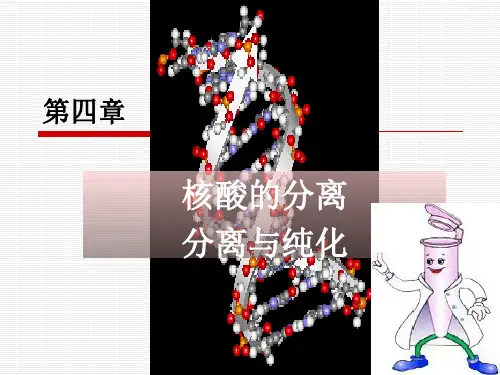 2013-第三章生物大分子的分离纯化资料