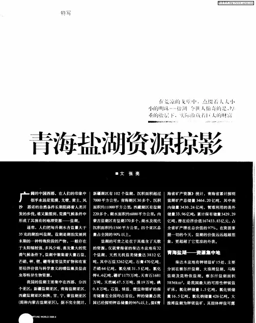 青海盐湖资源掠影