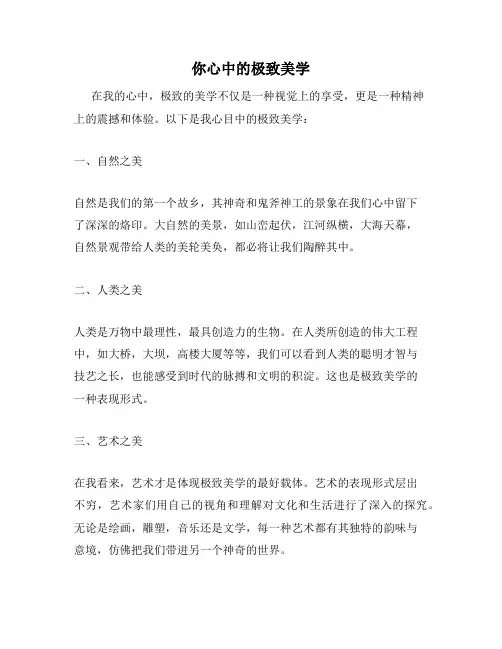 你心中的极致美学