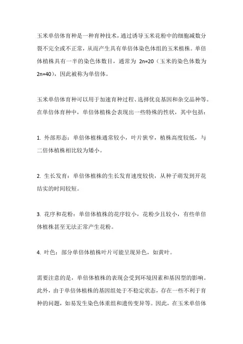 玉米单倍体育种表现