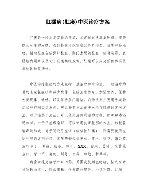 肛漏病(肛瘘)中医诊疗方案