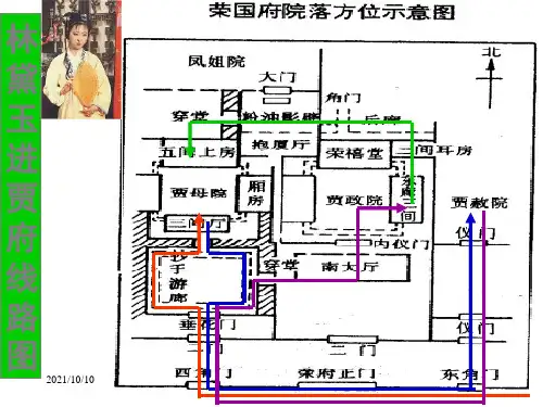 红楼梦人物关系图