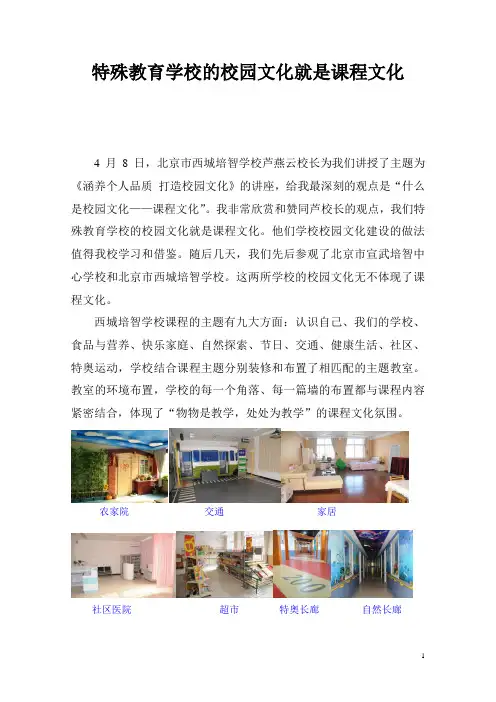 特殊教育学校的校园文化就是课程文化