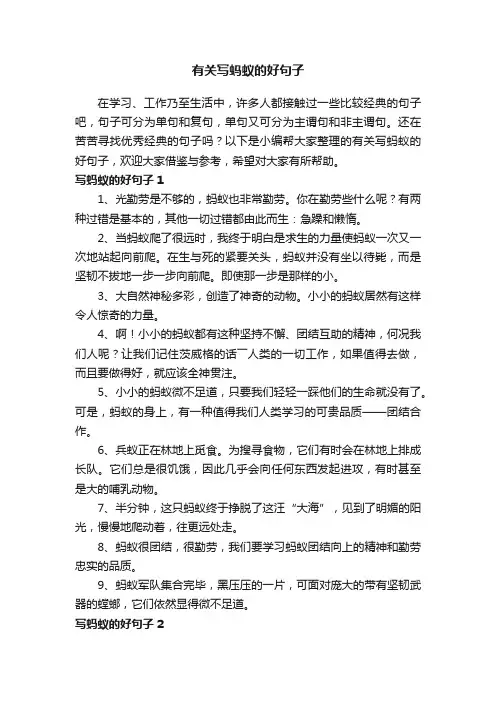 有关写蚂蚁的好句子
