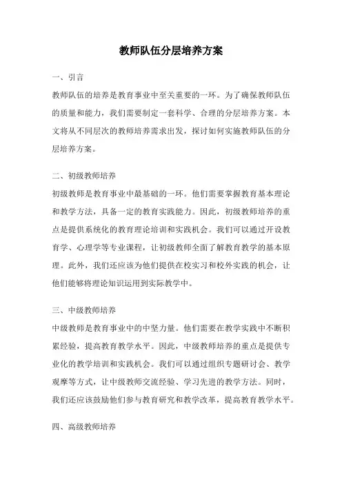 教师队伍分层培养方案