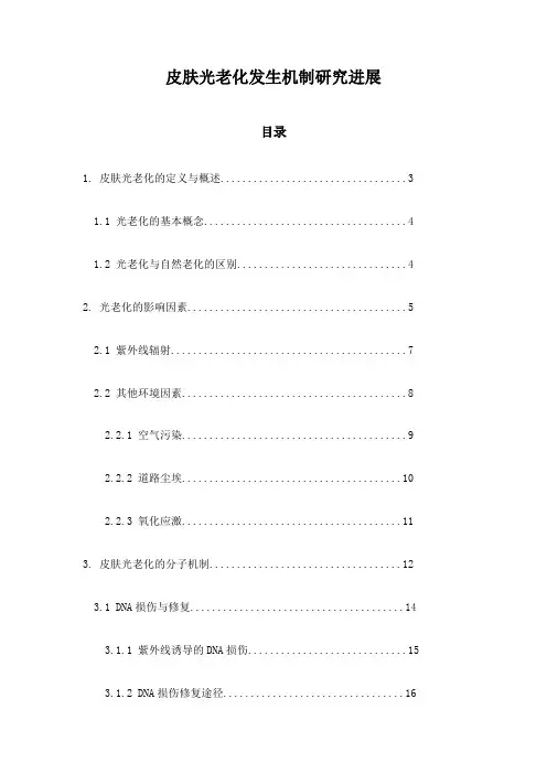 皮肤光老化发生机制研究进展