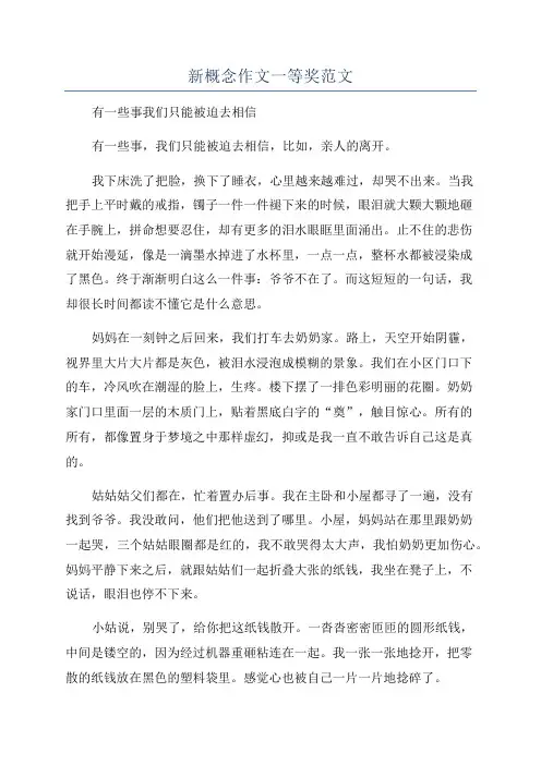 新概念作文一等奖范文