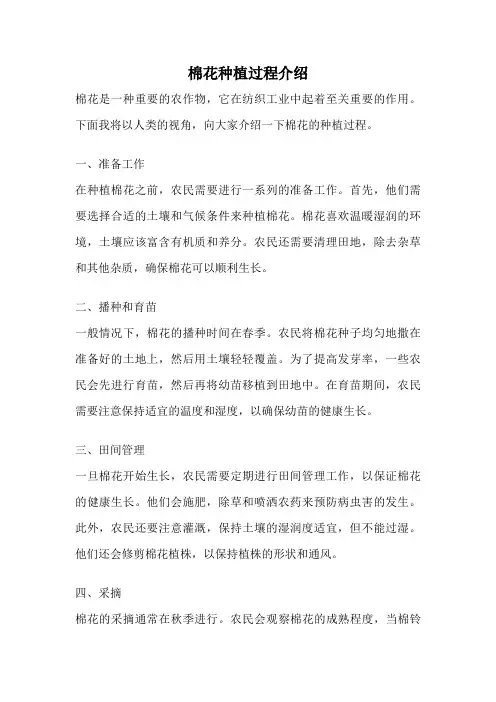 棉花种植过程介绍