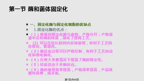 酶与细胞的固定化PPT课件