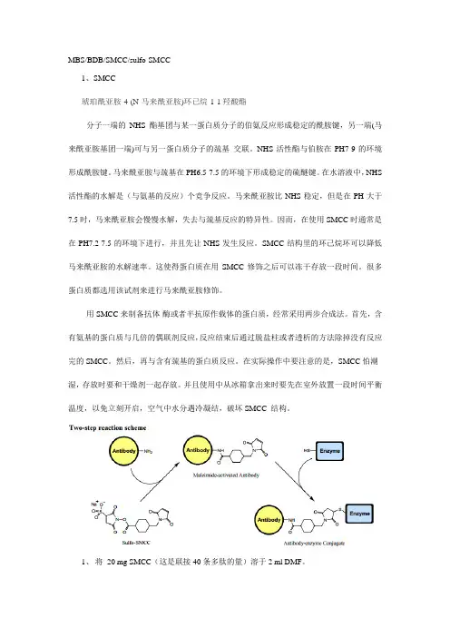 多肽和KLH偶联(1)