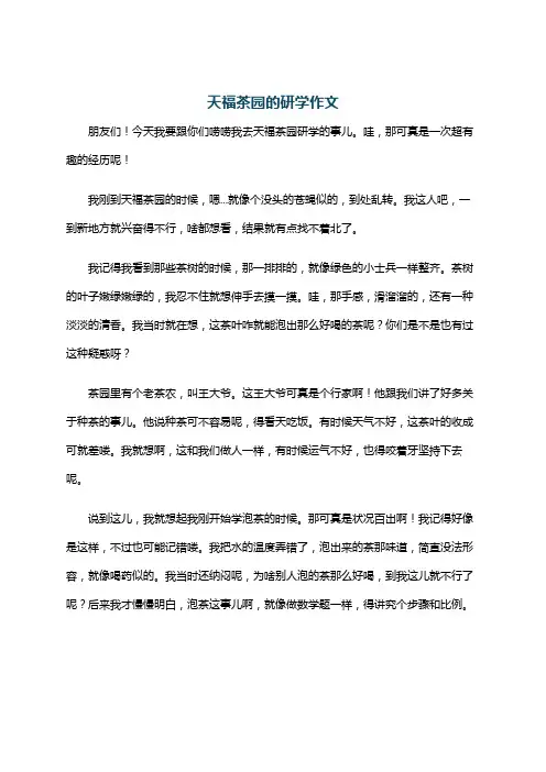 天福茶园的研学作文