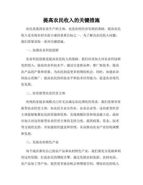 提高农民收入的关键措施
