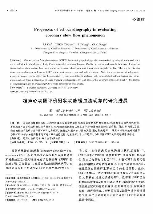 超声心动图评价冠状动脉慢血流现象的研究进展