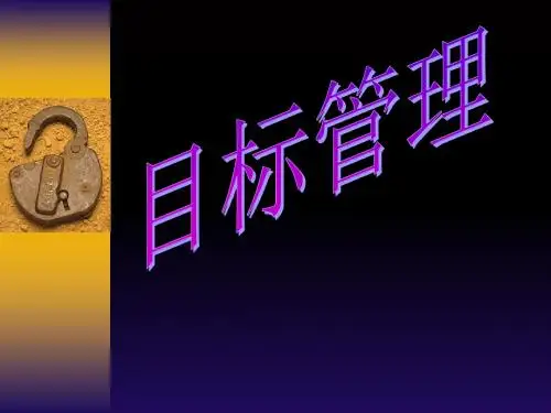服装行业整体目标(ppt 59页)