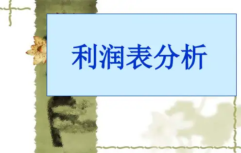 利润表分析