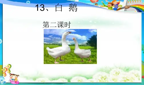 2019年最新人教版小学四年级语文上册—人教版小学四年级语文上册《白鹅》课件