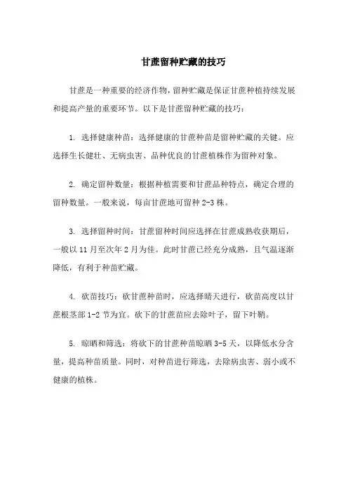甘蔗留种贮藏的技巧