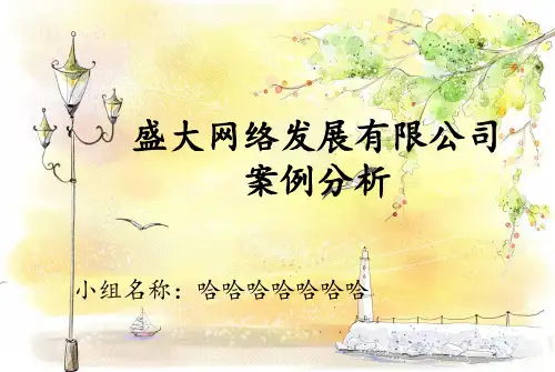 盛大案例分析