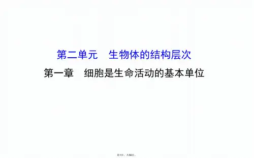 2017人教版七年级生物上册课件第二单元-第一章-细胞是生命活动的基本单位.ppt