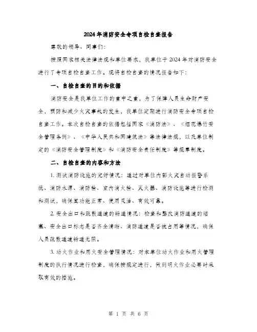 2024年消防安全专项自检自查报告（2篇）