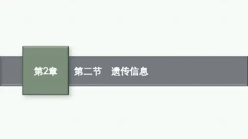 北师版高中生物学必修2精品课件 第2章 遗传信息的复制与表达 第2节 遗传信息