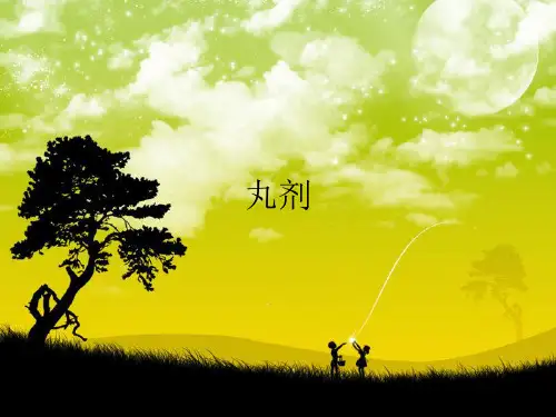 中药药剂学丸剂ppt课件