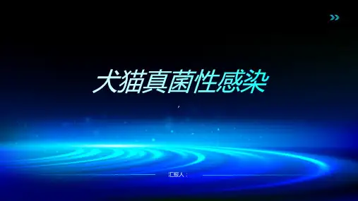犬猫真菌性感染 