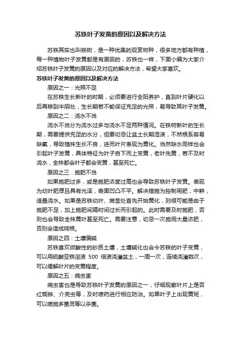 苏铁叶子发黄的原因以及解决方法