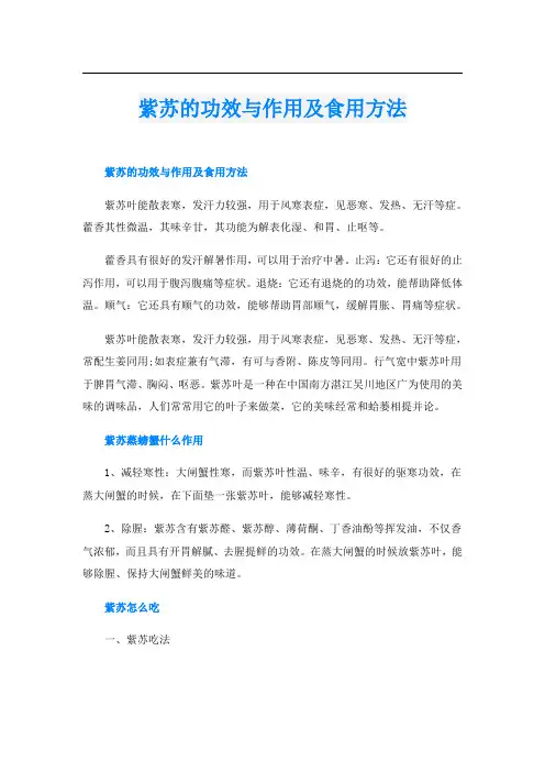 紫苏的功效与作用及食用方法
