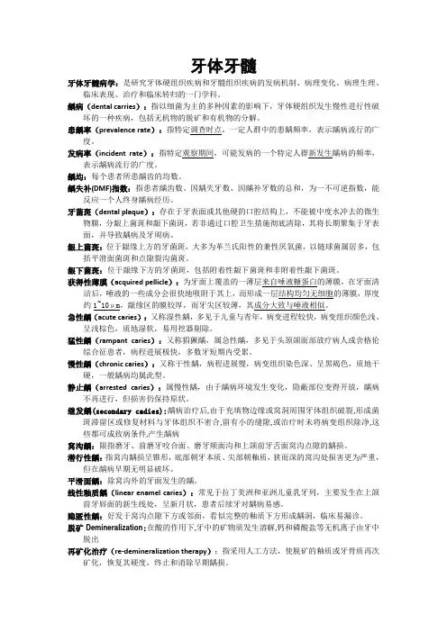 牙体 牙髓
