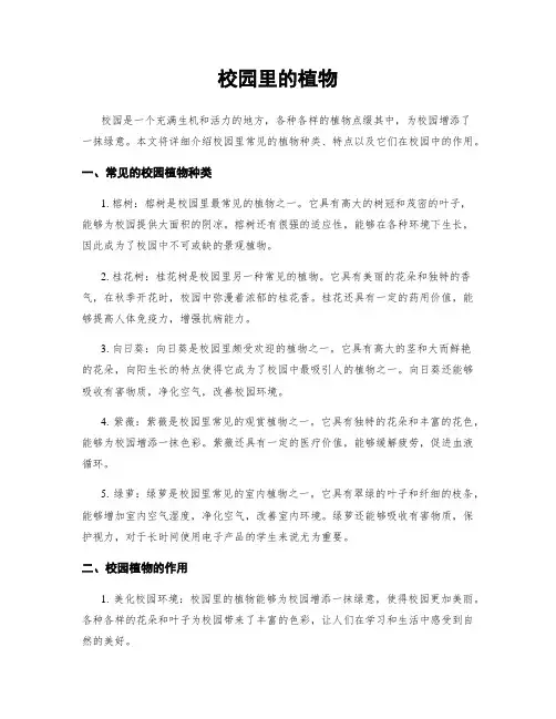 校园里的植物