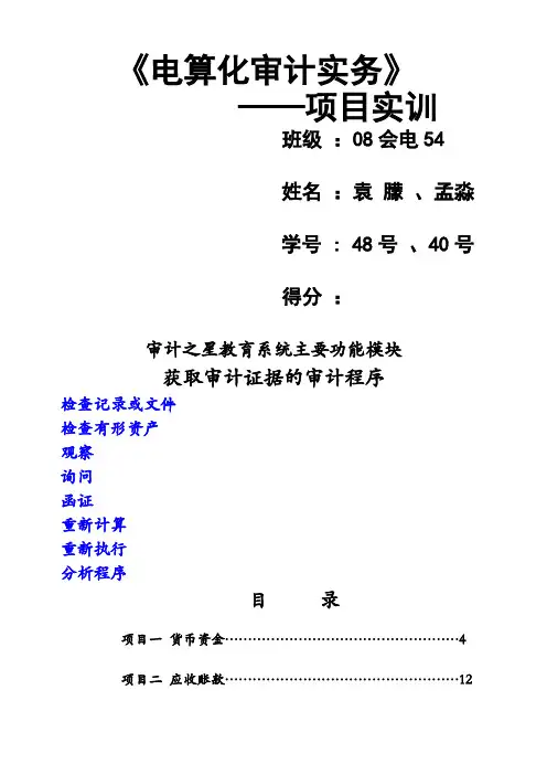 审计实训完整版