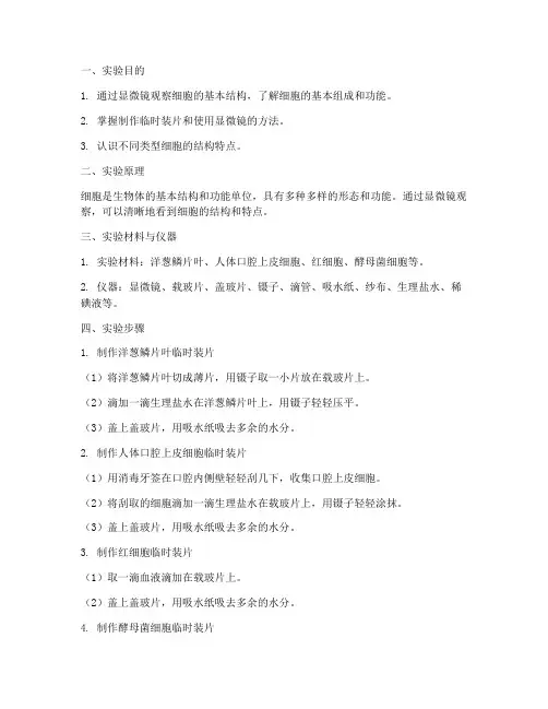 细胞的观察实验报告