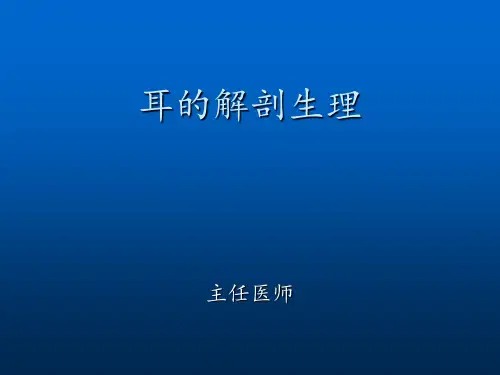 耳的解剖 ppt课件