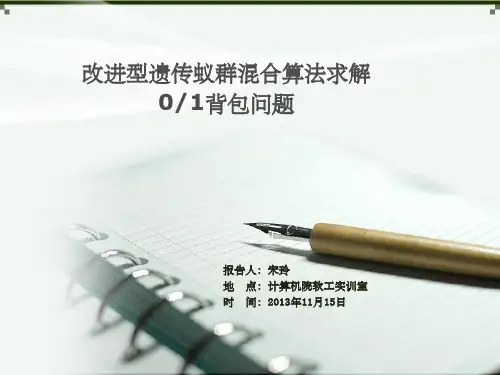 遗传蚁群算法解决背包问题ppt课件