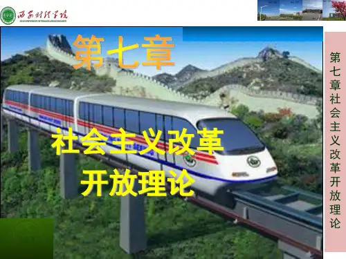 第七章课件：社会主义改革开放理论