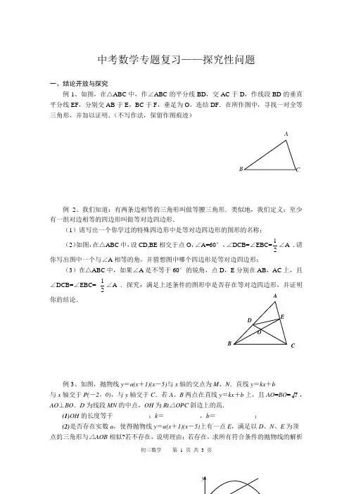 中考数学专题复习——探究性问题