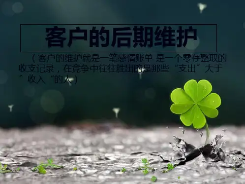 客户的后期维护ppt课件(共11张PPT)